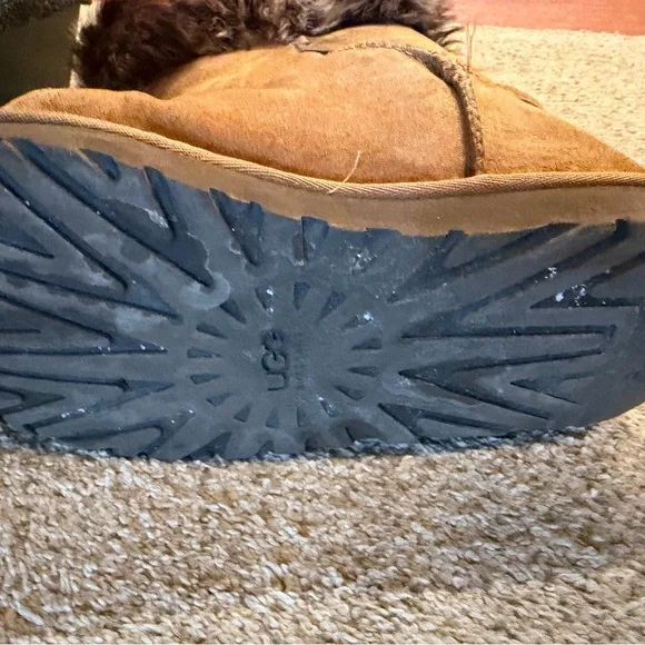 UGG Chestnut Fur Boots